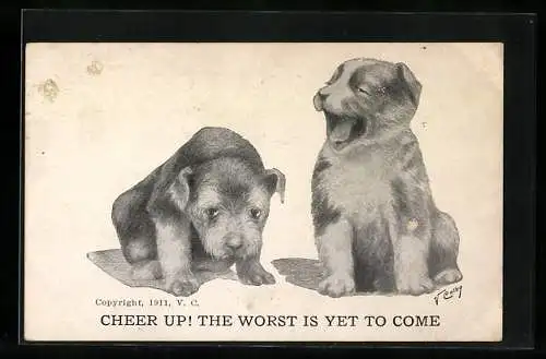 AK Cheer Up! The Worst Is Yet To Come, Two Dogs