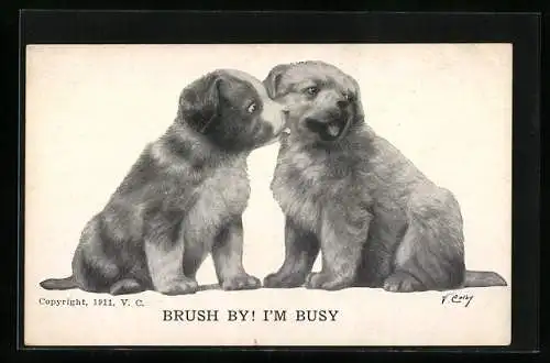 AK Brush By! I`m Busy, Two Dogs