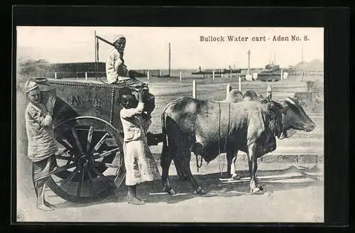 AK Aden, Bullock Water Cart, Männer mit Ochsen-Gespann