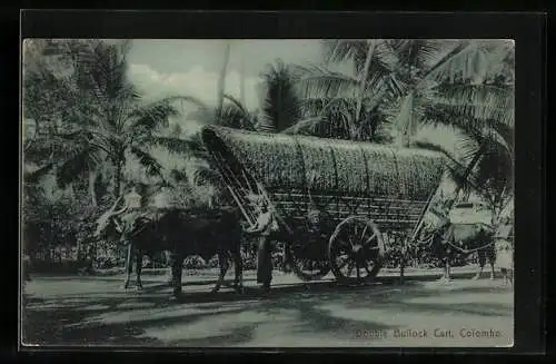 AK Colombo, Double Bullock Cart