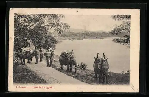 AK Kualakangsa, Beladene Elefanten mit Reitern an einer Strasse am Wasser