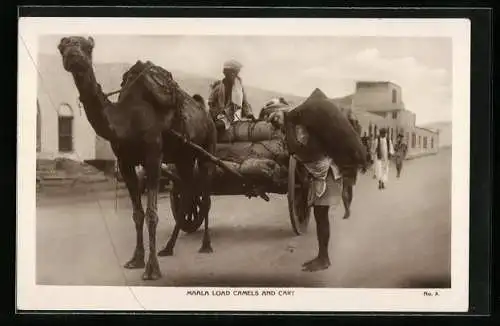 AK Maala Load Camels and Cart, arabische Männer mit Kamel-Gespann