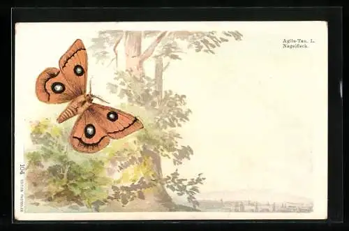 Lithographie Schmetterling Nagelfleck vor einem Baum