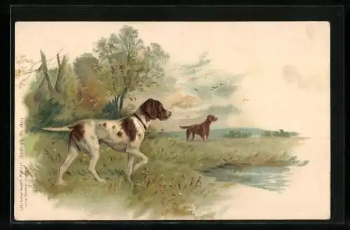 Lithographie Jagdhunde an einem Gewässer