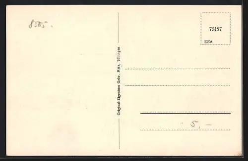 AK Ingolstadt, Partie an der Donaubrücke