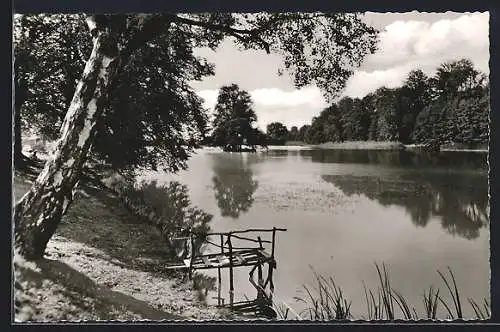 AK Büdingen /Oberhessen, Tiergartenweiher