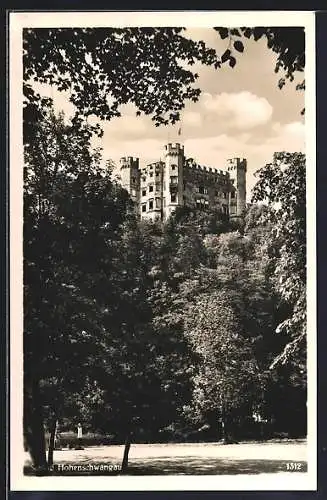 AK Hohenschwangau, Blick zum Schloss