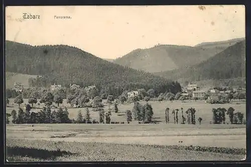 AK Tabarz, Panorama aus der Vogelschau