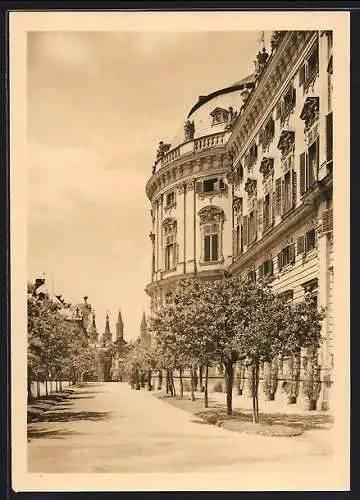 AK Würzburg, Hofgarten der Residenz