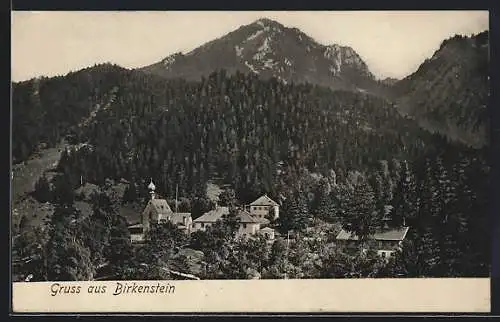 AK Birkenstein, Ortsansicht aus der Vogelschau