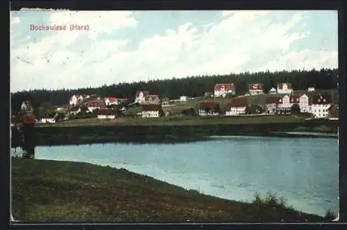 AK Bockswiese i. Harz, Ortsansicht aus der Vogelschau