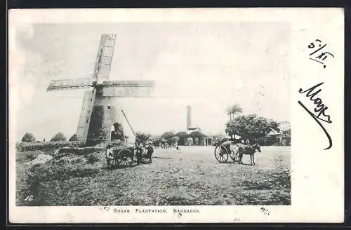 AK Barbados, Sugar Plantation