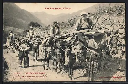 AK Vallée D'Andorre, Types De Muletiers, Bauern mit Maultieren im Gebirge