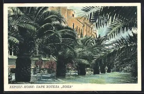 AK Herceg-Novi, Park Hotela Boka