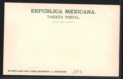 AK Mèxiko, Villa de Guadalupe