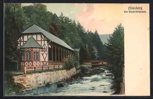 AK Bad Flinsberg, Der Niederbrunnen