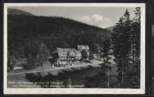 AK Wölfelsgrund am Fusse des Glatzer Schneeberges, Hotel und Pension Annahof im Oberdorf