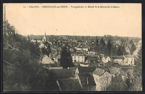 AK Châtillon-sur-Seine, Vue générale et Massif de al Source de la Douix