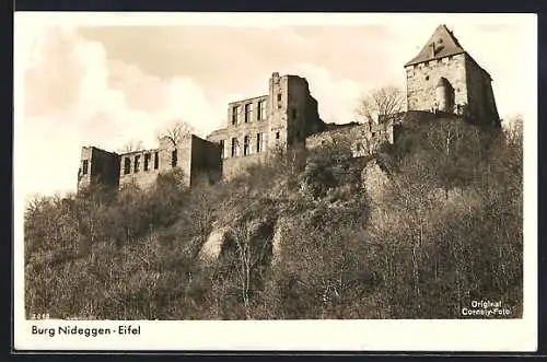 AK Nideggen /Eifel, Burgruine