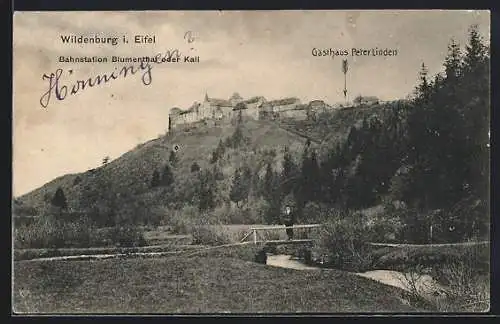 AK Wildenburg i. Eifel, Panorama mit Gasthaus Peter Linden