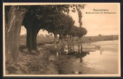 AK Braunschweig, Weiden am Teich bei Riddagshausen