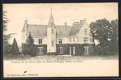 AK Grand-Pressigny, Chateau de la Vienne