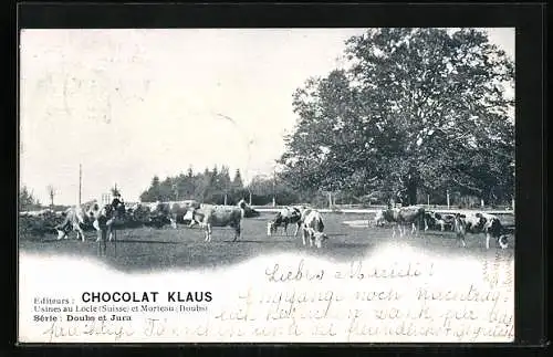 AK Kühe auf der Weide, Reklame für Kakao Chocolat Klaus