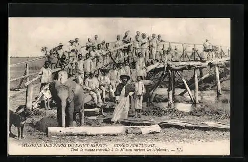 AK Congo Portugais, Mission des Pères du Saint-Esprit, Tout le monde travaille à la Mission surtout les éléphants