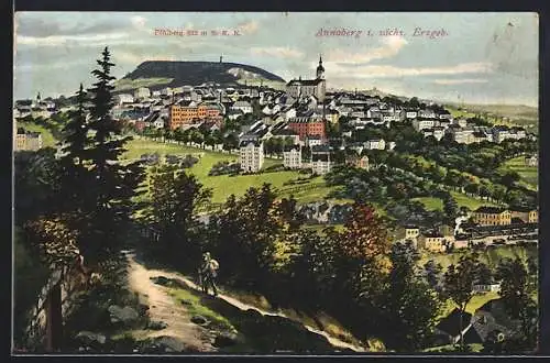 AK Annaberg i. sächs. Erzgebirge, Teilansicht mit Pöhlberg