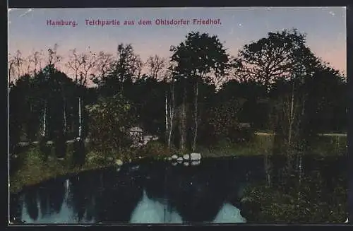 AK Hamburg-Ohlsdorf, Teichpartie aus dem Friedhof