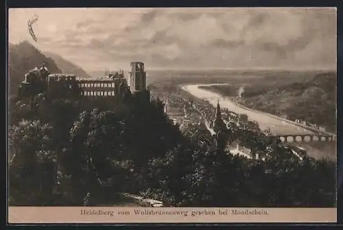 AK Heidelberg / Neckar, Totalansicht vom Wolfsbrunnenweg bei Mondschein