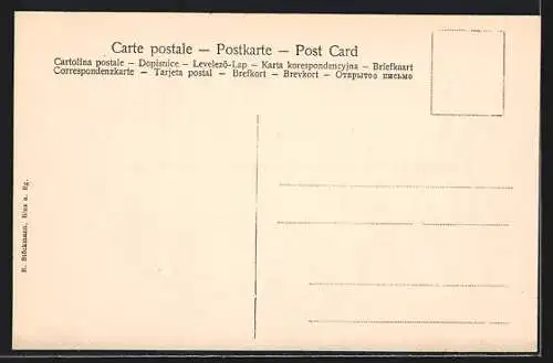 AK Binz a. Rügen, Panorama