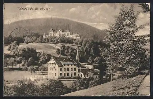 AK Todtmoos /Wehrawald, Panorama