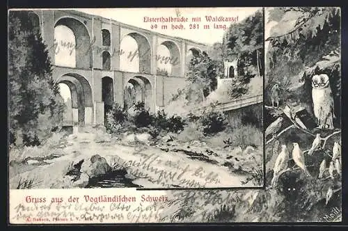 AK Jössnitz, Elsterthalbrücke mit Waldkanzel, Eule liest aus einem Buch