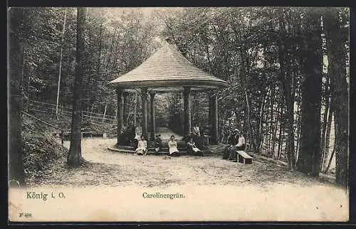 AK König i. O., Carolinengrün, Pavillon mit Besuchern