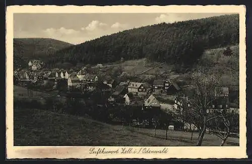 AK Zell / Odenwald, Sicht über den Ort