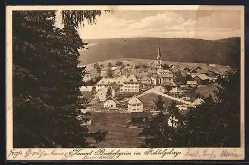 AK Bischofsgrün /Fichtelgebirge, Ortsansicht mit Kirche