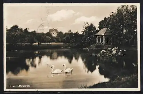 AK Herne, Teich im Stadtharten mit Schwänen