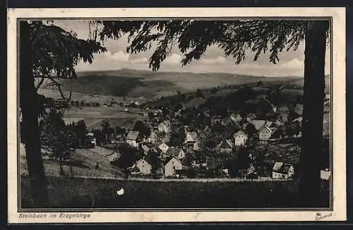 AK Steinbach im Erzgebirge, Ortsansicht aus der Vogelschau