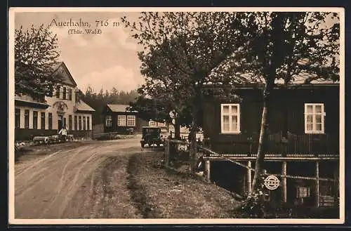 AK Auerhahn /Thür. Wald, Strassenpartie mit Gasthaus