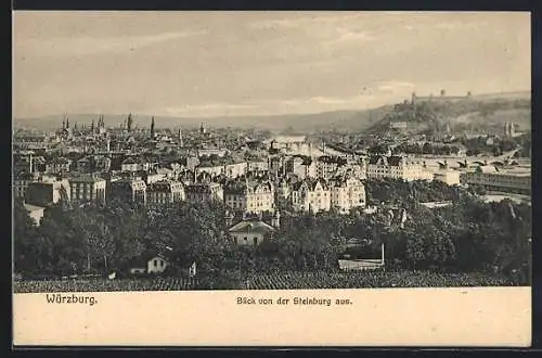 AK Würzburg, Blick auf den Ort von der Steinburg aus