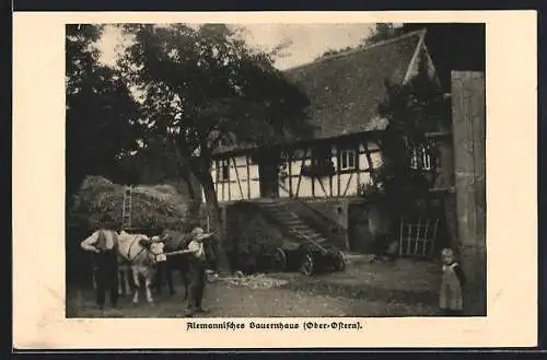 AK Reichelsheim / Odenwald, Alemannisches Bauernhaus