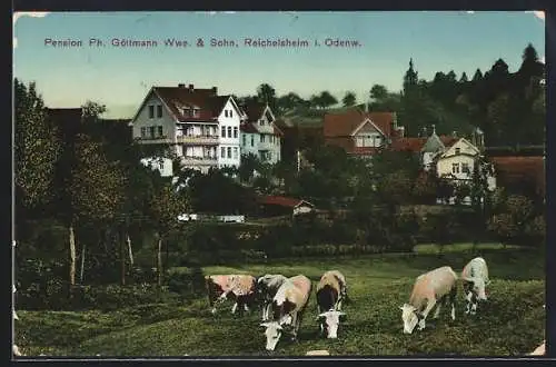 AK Reichelsheim i. Odenw., Pension Ph. Göttmann Wwe. & Sohn