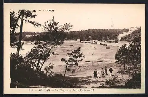 AK Mauzan, La Plage vue de la Forêt