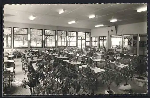 AK Fouras, Intérieur du restaurant La Pergola Fleurie avec vastes tables et plantes décoratives