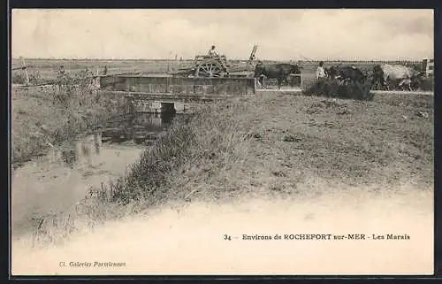 AK Rochefort-sur-Mer, Les Marais avec charrette traversant un pont