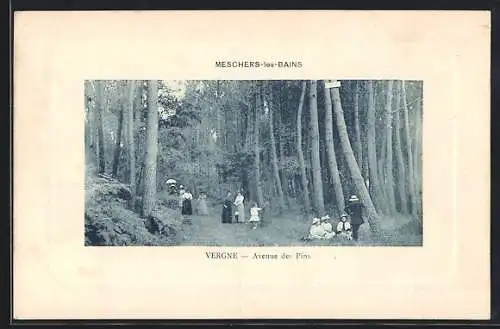 AK Meschers-les-Bains, Vergne, Avenue des Pins