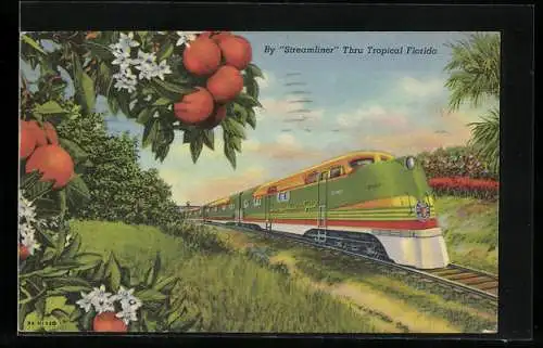 AK By Streamliner Thru Tropical Florida, U.S. Amerikanische Eisenbahn