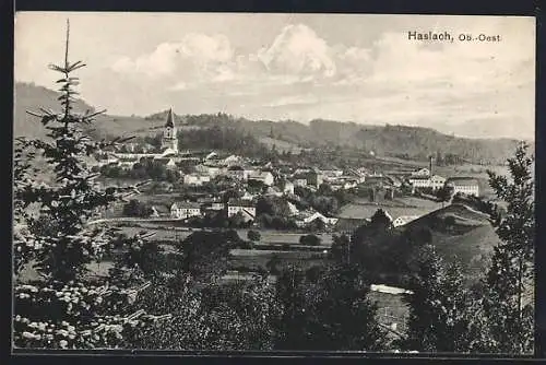 AK Haslach /Ob.-Oest., Teilansicht mit Tanne