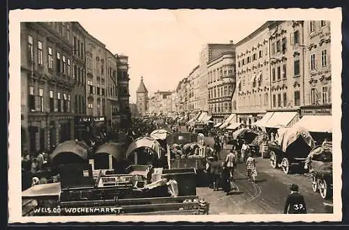 AK Wels, Markttag auf dem Wochenmarkt